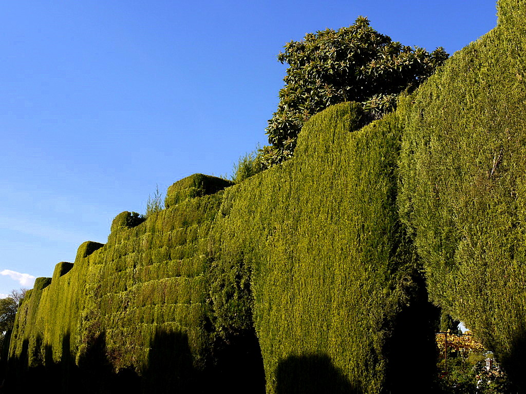 Alhambra-General life garden